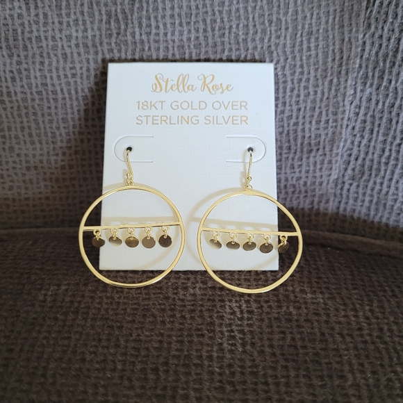Stella Rose🌹Open Circle⭕ w/Discs📀 Earrings - Picture 8 of 13